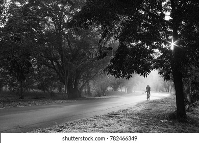 A Lone Cyclist In Morning Mist. 