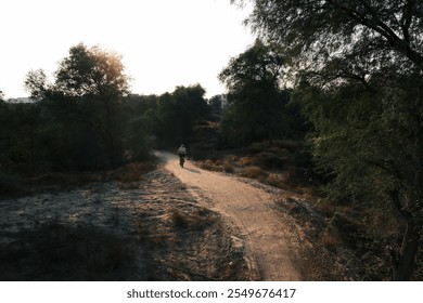 A lone cyclist rides along a winding dirt path surrounded by trees, bathed in soft sunlight, creating a tranquil, scenic atmosphere. The setting reflects serenity and the quiet beauty of nature. - Powered by Shutterstock