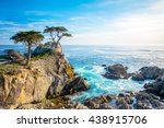 The Lone Cypress, seen from the 17 Mile Drive, in Pebble Beach, California.