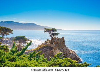 The Lone Cypress, seen from the 17 Mile Drive, in Pebble Beach, California