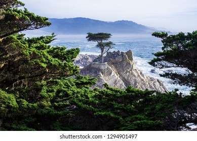 29 116 Monterey Images Stock Photos Vectors Shutterstock 29 116 Monterey Images Stock Photos Vectors Shutterstock