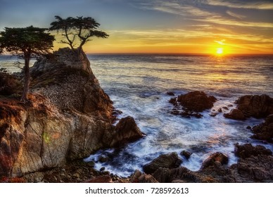 Lone Cypress USA