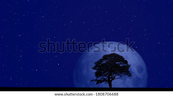 Lone dead tree with super blue Moon -\
\