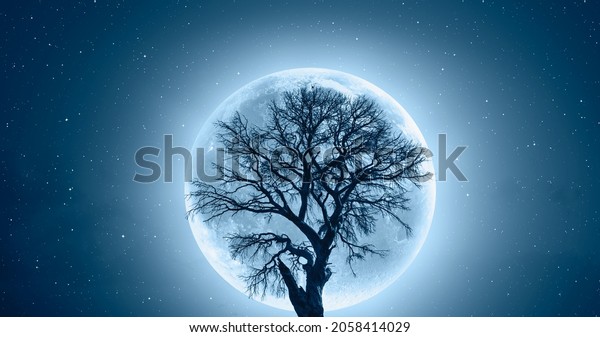 Lone dead tree with super\
full blue Moon and lot of stars \
