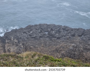 A lone dog explores the rocky shoreline, standing small against the vast, rugged cliffs and endless ocean. The serene moment contrasts the dog's curious adventure with the untamed beauty of the coast - Powered by Shutterstock