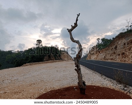a lone dry tree, forlornly located between the two exposed cut limestone hill, cut for an international road. 