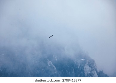 A lone eagle glides gracefully above rugged mountains, surrounded by ethereal mist, blending strength and beauty in a serene wilderness scene