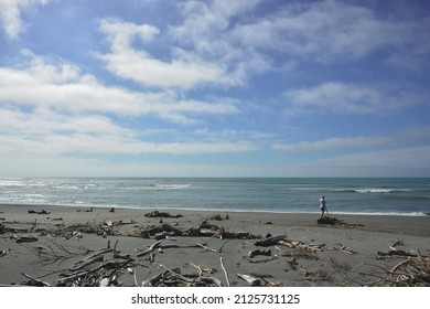 Lone Farmer On Beach, Tasman Sea