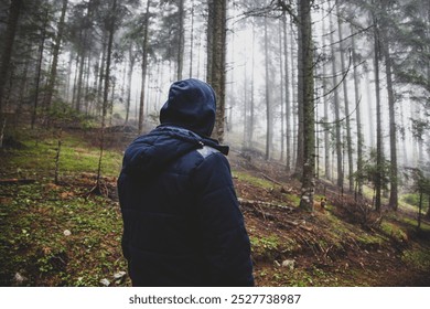 A lone figure stands in a misty forest, enveloped by towering trees and the quiet mystery of the wilderness. - Powered by Shutterstock