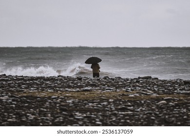 Lone Figure with Umbrella on Rocky Shoreline
 Person standing by a stormy seashore under an umbrella, facing rough waves on a rocky beach under an overcast sky.
 - Powered by Shutterstock