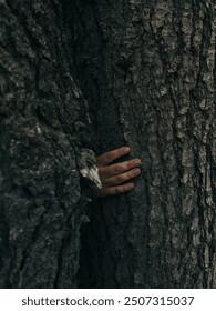 A lone hand emerging between two trees, creating a cinematic scene with dark, mysterious vibes.