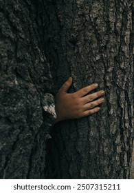 A lone hand emerging between two trees, creating a cinematic scene with dark, mysterious vibes.