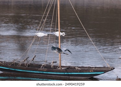 A lone heron flies over a small wooden boat on a calm river with a light mist in the air - Powered by Shutterstock