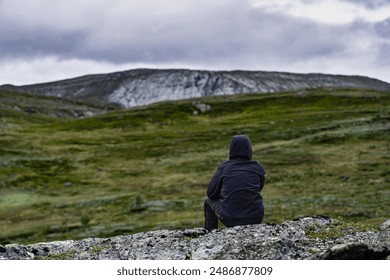 A lone hiker sits on a rocky outcrop, gazing out at the vast, green expanse of the Norwegian mountains with dramatic cloudy sky - Powered by Shutterstock