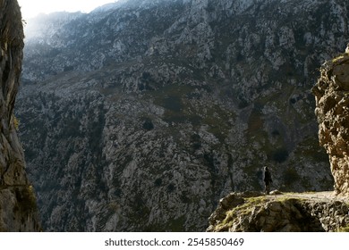 A lone hiker stands on a rocky path overlooking a vast, rugged mountain landscape with steep cliffs and sparse vegetation under a cloudy sky. - Powered by Shutterstock