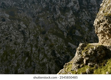 A lone hiker stands on a rocky cliff edge overlooking a steep, rugged mountain landscape. The scene captures the vastness and solitude of nature, with sunlight casting shadows on the rocky terrain. - Powered by Shutterstock