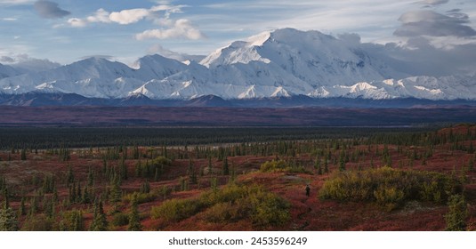 Lone hiker walks into the tundra leading to Mount Denali (Mount McKinley), Alaska, United States of America, North America - Powered by Shutterstock