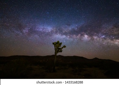 A lone Joshua Tree stands against the Milky Way in Joshua Tree National Park in California - Powered by Shutterstock