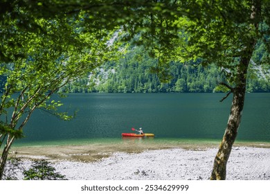 A lone kayaker paddles serenely on a peaceful lake, embraced by verdant trees and reflecting vibrant green hues, under a bright and clear sky. - Powered by Shutterstock