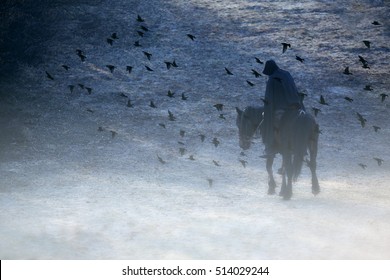 lone knight in thick fog surrounded birds, movie and drama concept, can be used for the cover of a book