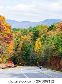 Lone Motorcycle Rider On A Highway Through The Appalachian Mountains With Bright Autumn Folliage All Around.