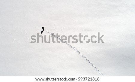 A lone person making footsteps in pure white snow as seen from a birds eye perspective