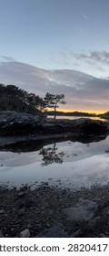 Lone Pine Tree Reflected at Sunset in Bjørnafjorden, Norway