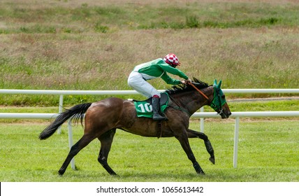 Lone Race Horse And Jockey Sprinting Towards The Finish Line