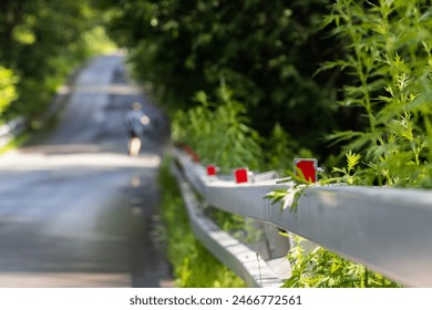 A lone runner in a blue tracksuit jogs along a peaceful rural road lined with leafy green plants and metal guardrails, under the bright morning sun. - Powered by Shutterstock