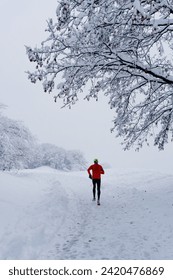 A lone runner in a red jacket jogging on a snowy path surrounded by snow-covered trees, creating a striking contrast in a winter landscape