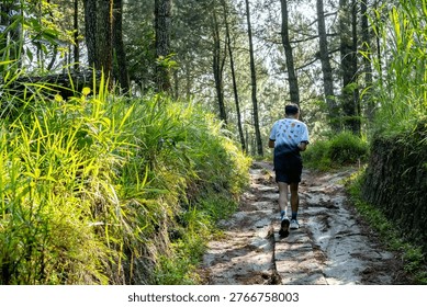 Lone runner strides through a dense forest trail. Sunlight filters through tall, mossy pine trees. The path winds through green undergrowth and pine needles. The runner moves forward, focused