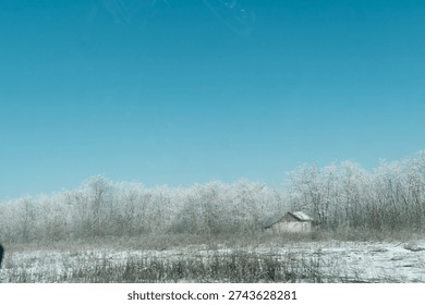 Lone rustic cabin surrounded by frosty trees under a clear blue sky.