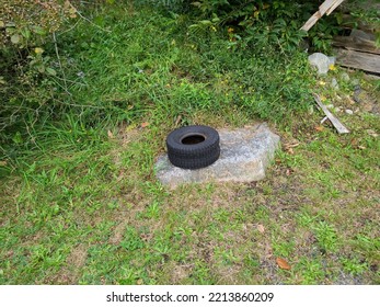 A Lone Small Tire Sitting On A Rock Near Some Vegetation.