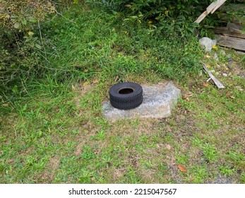 A Lone Small Tire Sitting On A Rock Near Some Vegetation.