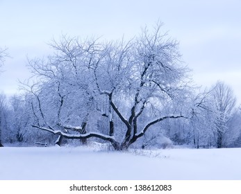 Vermont Winter Landscape Images, Stock Photos & Vectors | Shutterstock