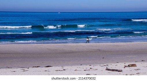 A Lone Surfer Looking At The Waves