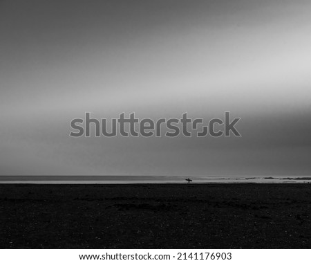 A lone surfer looks for inspiration on the North Sea coast - mono