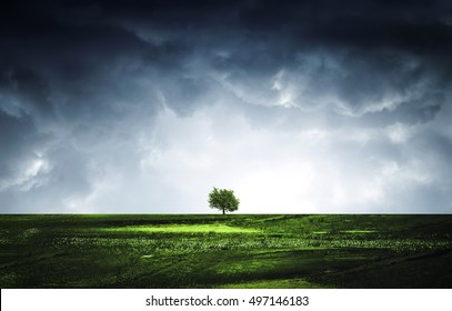 Lone Tree