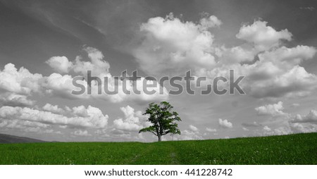 Similar – summer air Man Maize field