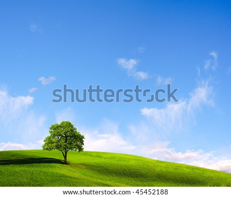 Similar – Image, Stock Photo prairie Idyll Peaceful