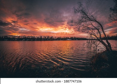 A lone tree lying on the shore of a lake during sunset, an illuminated tree trunk is reflected on the surface.