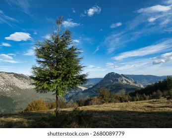 Lone Tree in Mountain Landscape - A dramatic mountain landscape with a solitary tree in the foreground under a vast blue sky with dynamic clouds.
