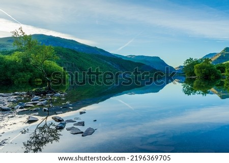 Lone Tree on Llyn Padarn lake in LLanberis at dawn, Wales, UK