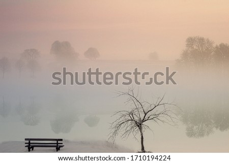 Similar – winter fog Nature