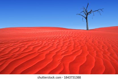 A Lone Tree In The Red Center Outback Of Australia. Climate Change Concept. No People. Copy Space