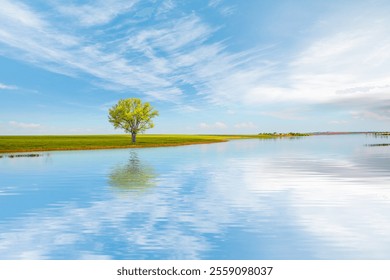 Lone tree reflecting in calm lake water at bright blue sky - Powered by Shutterstock