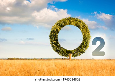 Lone tree in a rural shape with tree in shape of letter O - concept image with O2 text against a natural background.