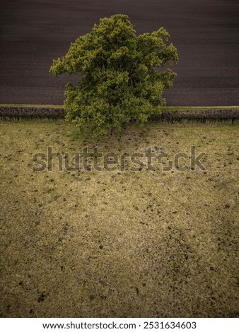 Similar – Image, Stock Photo Environmental protection?