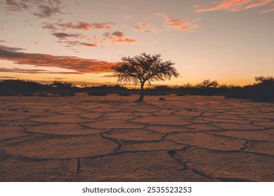 A lone tree silhouetted against an orange and red sunset sky, with a cracked, dry desert landscape in the foreground - Powered by Shutterstock