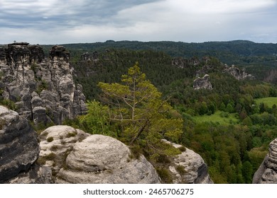 A lone tree stands in the middle of a rocky mountain range. The sky is cloudy, and the landscape is serene and peaceful - Powered by Shutterstock